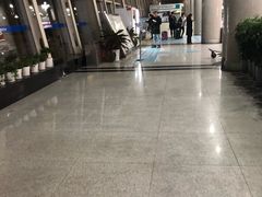 -威海大水泊国际机场