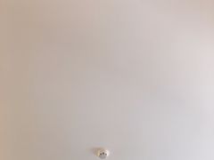 -Flower in(密渡桥店)