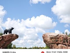 -黑瞎子岛探秘野熊园