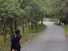 -天花井景区