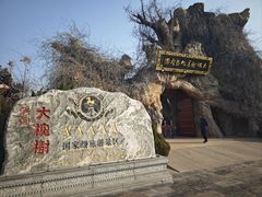-大槐树寻根祭祖园
