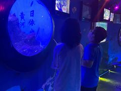 -烟台海昌鲸鲨海洋公园