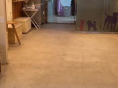 -宠颐生汉谟拉比宠物医院