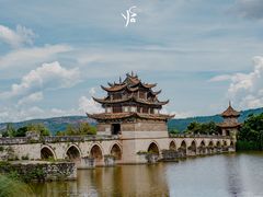 -云南野生动物园