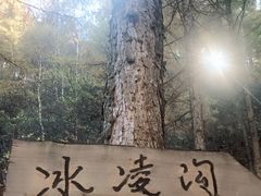 -苏木山森林公园