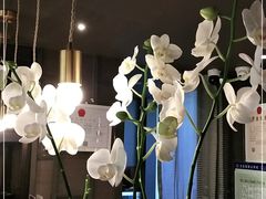 -LANN I 蘭 泰式古法按摩(徐家汇城开YOYO店)