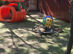 -西霞口神雕山野生动物世界