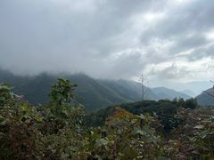 -东白山
