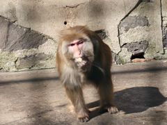 -南京金牛湖风景区