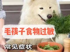-美联众合动物医院·24h转诊中心