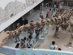 -中国地质大学逸夫博物馆
