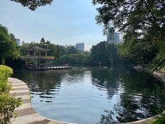 -晓港公园