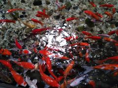 -福州罗源湾海洋世界旅游区