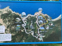 -广东惠东海龟国家级自然保护区