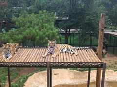 -云南野生动物园