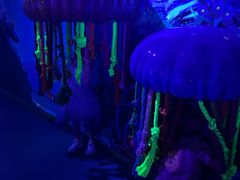 -海合安成都极地海洋公园