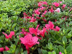 -西南民族大学南区(双流校区)