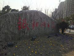 -南翔镇银翔湖公园