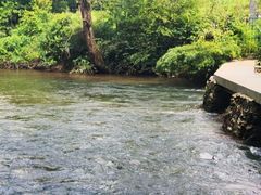 -阿哈湖国家湿地公园