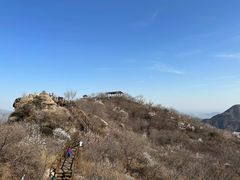 -大岭沟猕猴桃谷风景区