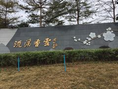 -广州市流溪河国家森林公园