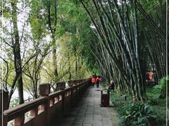 -望江楼公园