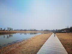 -野鸭湖国家湿地公园