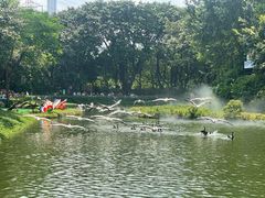 -广州长隆飞鸟乐园