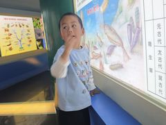 -上海昆虫博物馆