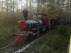 -合肥滨湖国家森林公园