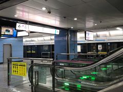 -大龙山(地铁站)