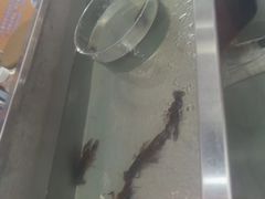 -嘿哟动霸CHUA·新潮玩运动娱乐中心·蹦床滑冰团建乐园