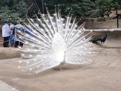 -哈尔滨北方森林动物园