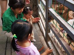 -银树楼(紫玉山庄东区店)