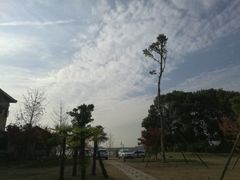-梁子湖东篱老屋生态庄园
