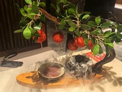 -唐猫庭院·千年陕菜(大唐不夜城店)