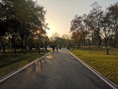 -洋湖国家湿地公园