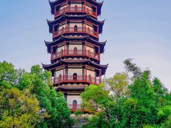 -绳金塔