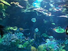 -暹罗海洋世界