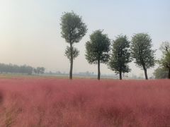 -汉长安城未央宫国家考古遗址公园