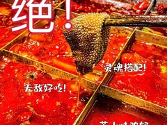 -五里关火锅(牛市口店)