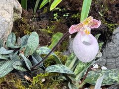 -国家植物园南园