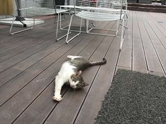 -UNI UNI(环亚凯瑟琳店)