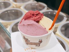 -Dip in Gelato(富民路店)