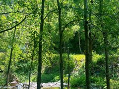 -玉渡山自然风景区