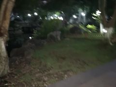 -墨池公园