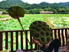 -红山村