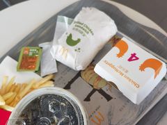 -麦当劳(新新大道岗丰店)