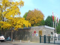 -三里屯东五街银杏大道