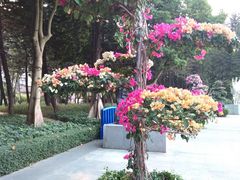 -广州雕塑公园